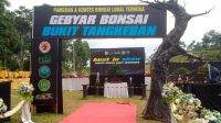 IMG-20240720-WA0062