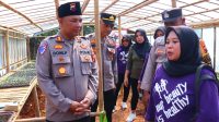 IMG-20250217-WA0017